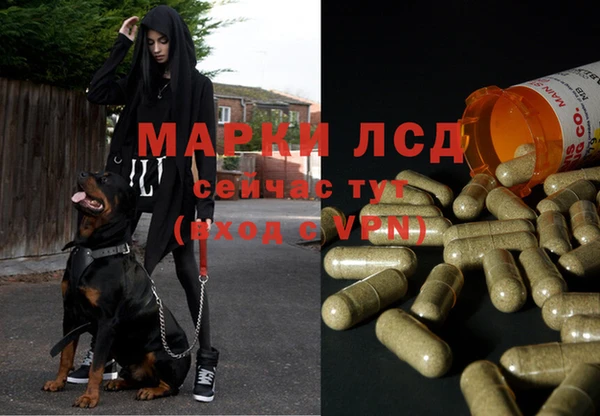 не бодяженный Магадан