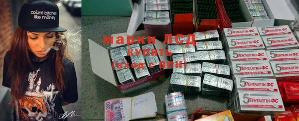 гидра Магас