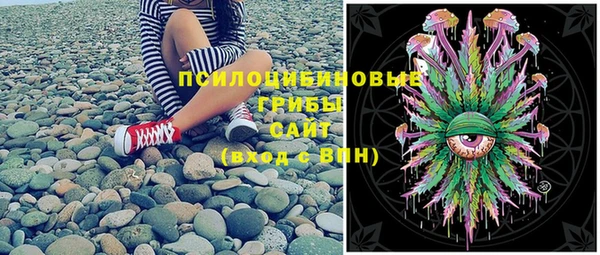 гидра Магас