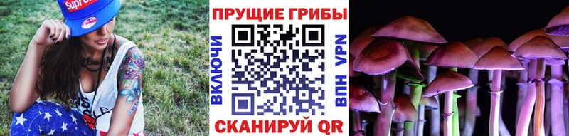 Галлюциногенные грибы MAGIC MUSHROOMS  darknet наркотические препараты  Агрыз 